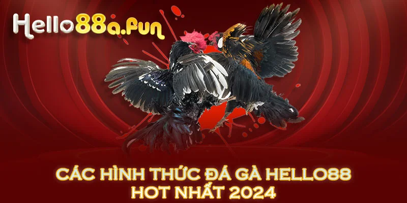 Các hình thức đá gà HELLO88 hot nhất 2024