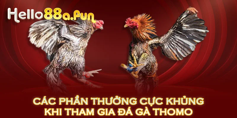 Các phần thưởng cực khủng khi tham gia đá gà Thomo