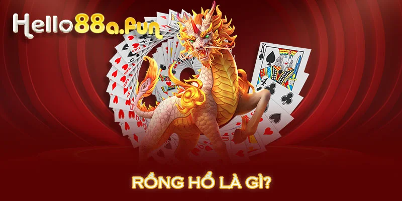 Rồng Hổ là gì?