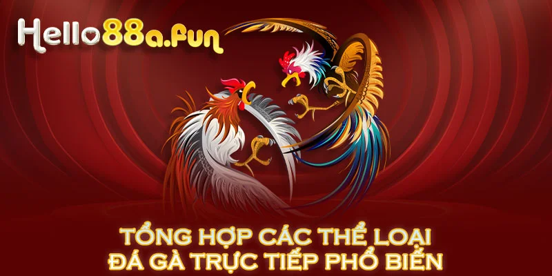 Tổng hợp các thể loại đá gà trực tiếp phổ biến